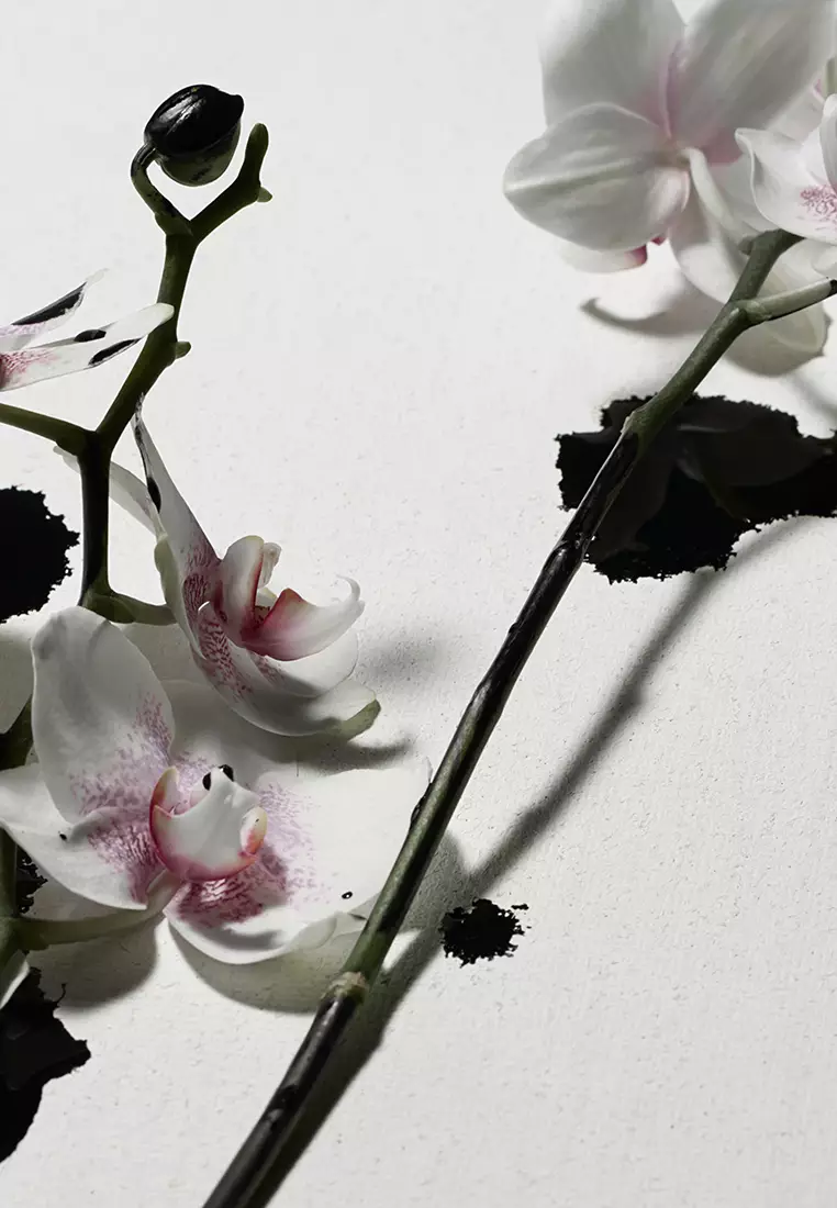 Punk Bouquet Body Lotion