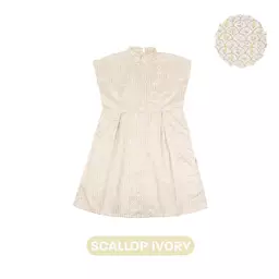 Scallop Ivory