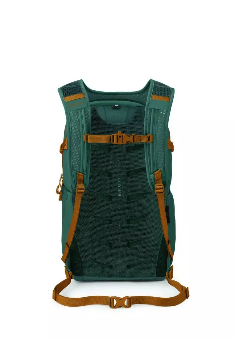 Buy Osprey Osprey Daylite Plus 20L Backpack O/S - Torrent Blue