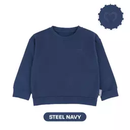 Steel Navy