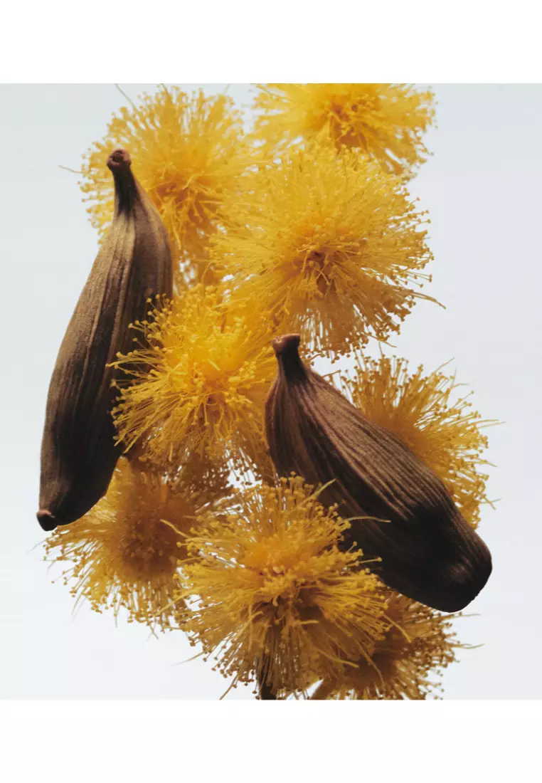 Jo Malone - 含羞草與小豆蔻古龍水 30ml