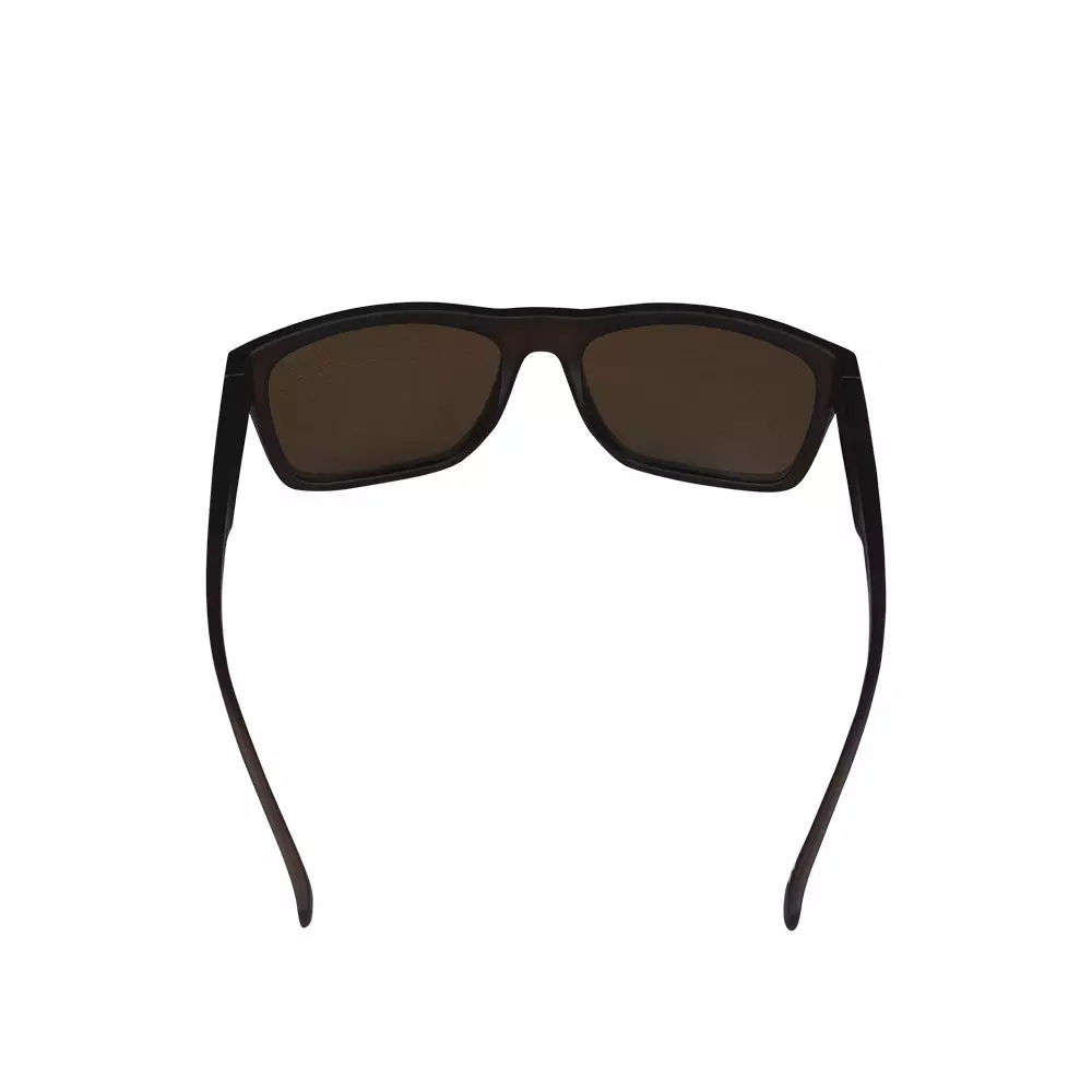 Eiger Motion Sunglasses