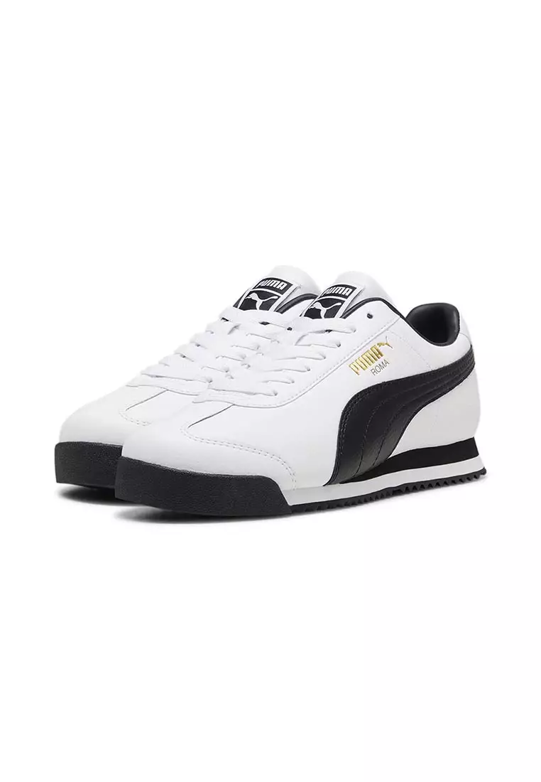 Roma 24 Standard