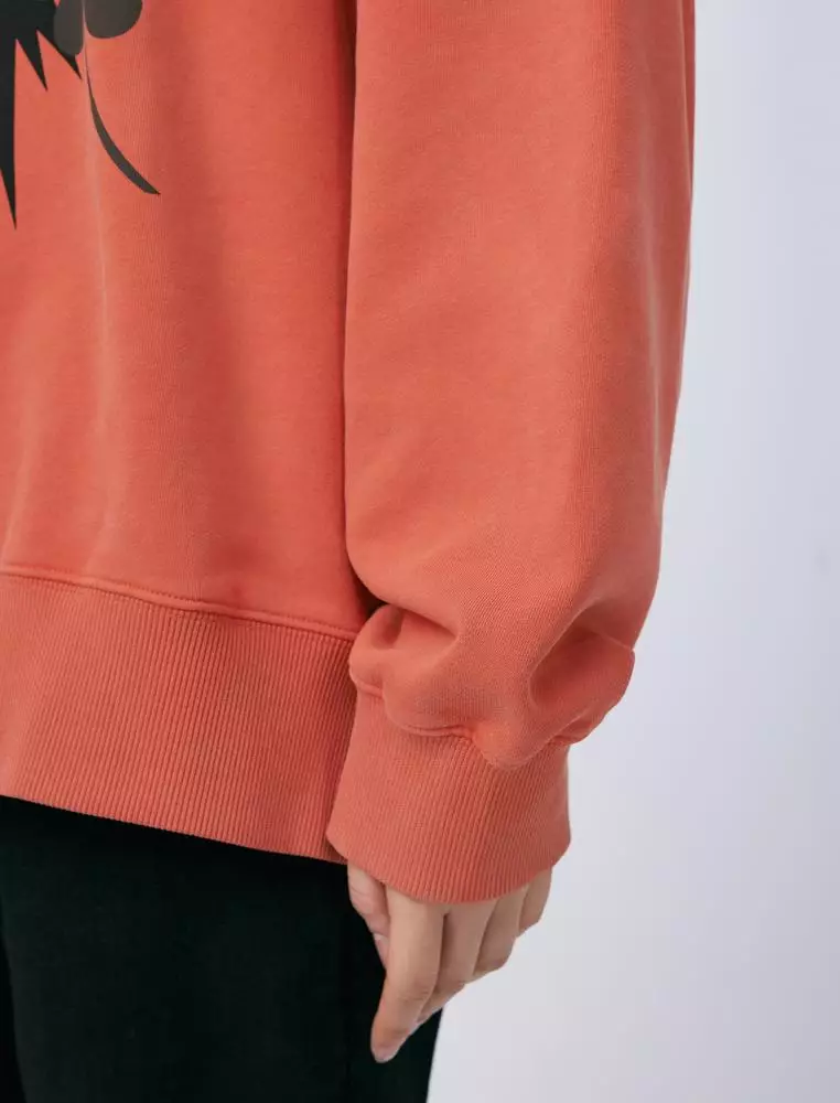 Long Sleeve Printed Pullover Hoodie