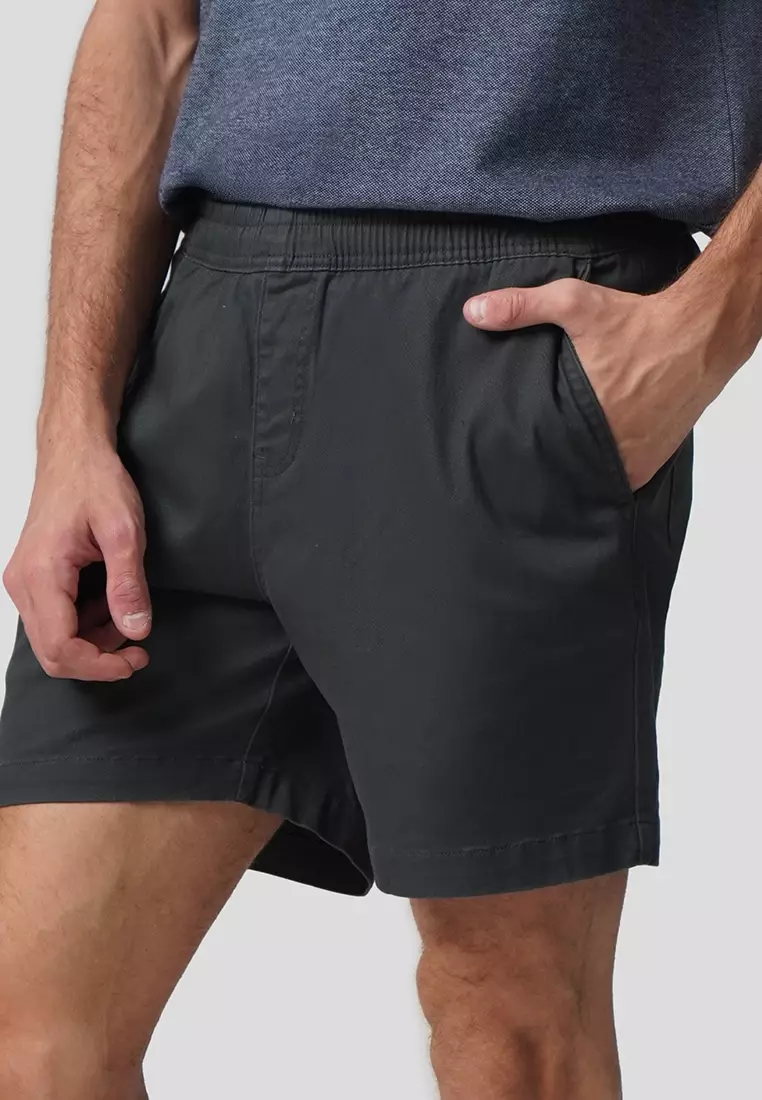 Regular Fit Pull Up Shorts