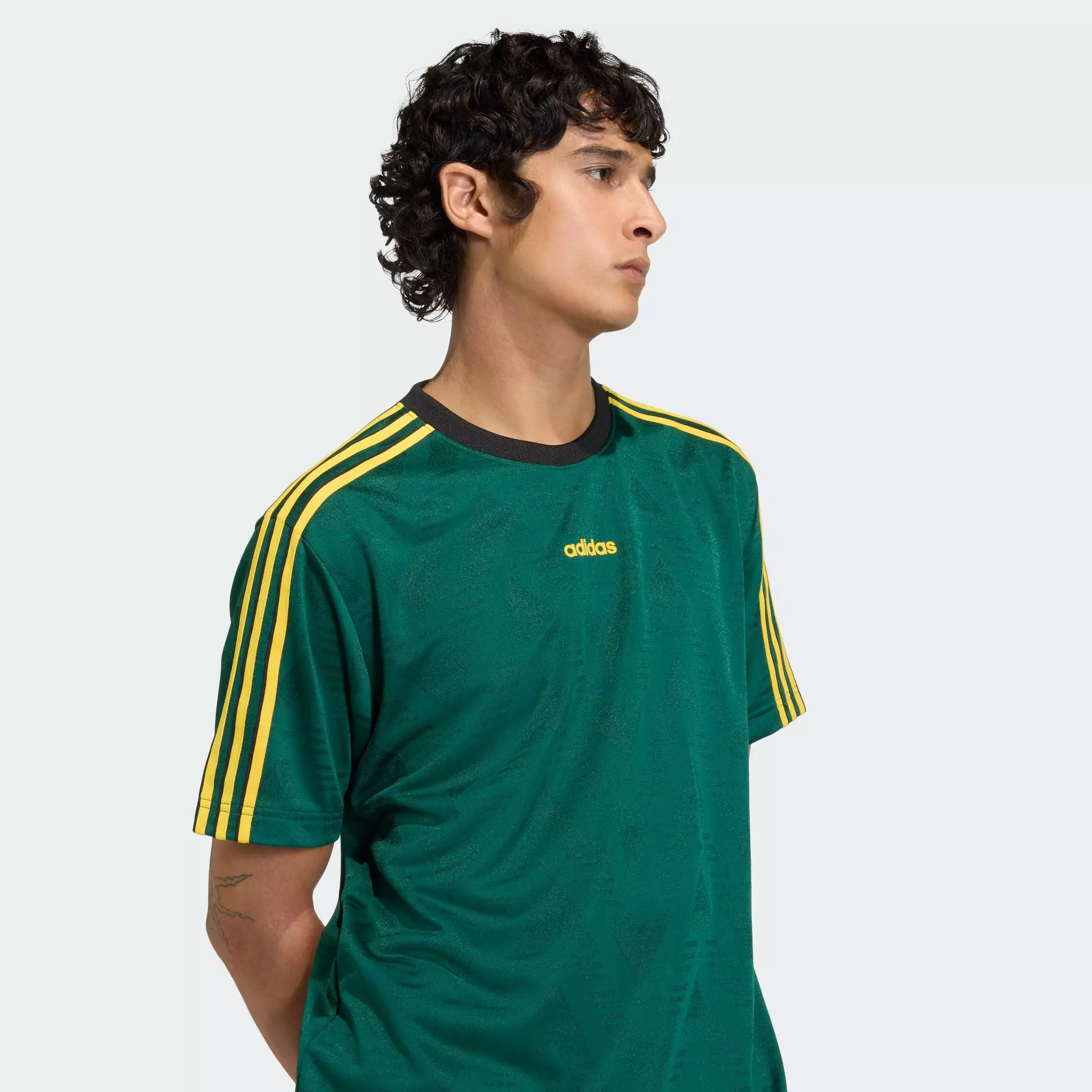 Lifestyle JACQUARD JERSEY Men Green KE3337