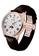WULF 褐色 Wulf Lycan Rose Gold and Brown Leather Watch 22DFEACF052A08GS_2