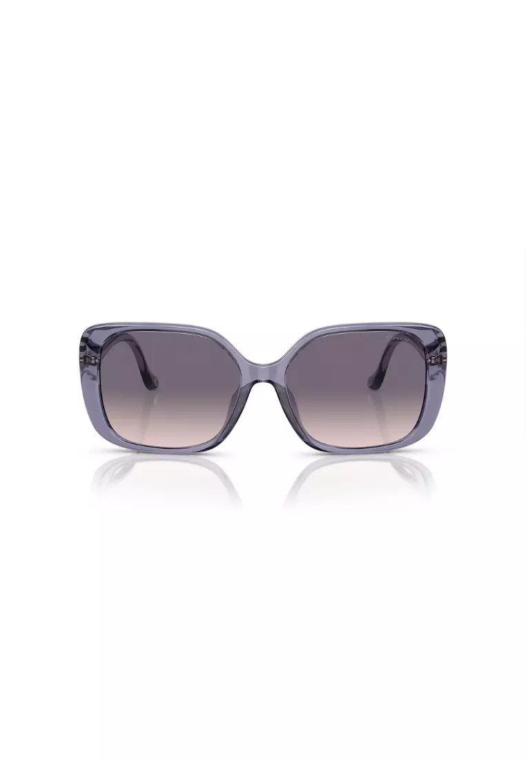 Women's Square Frame Transparent Violet Injected Sunglasses - HC8376U
