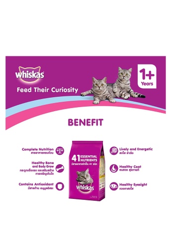 Shop Whiskas Whiskas Adult Ocean Fish Flavor Dry Cat Food 1 2kg Online On Zalora Philippines
