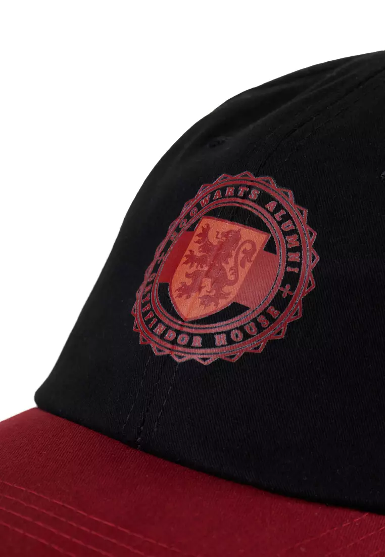 Harry Potter x Adventure Collection Cap 01 - Gryffindor