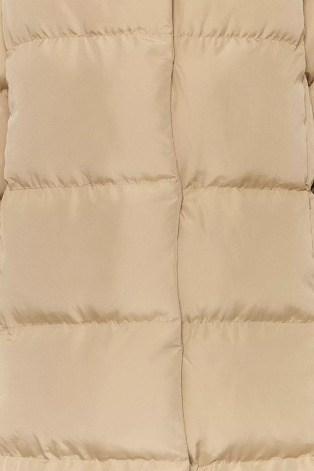 Mink Regular Side Snap Closure Water Repellent Long Quilted Puffer Coat TWOAW24MO00044