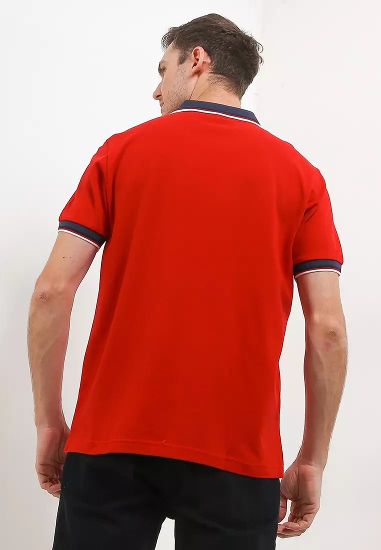 Daumier Stripe Flatknit Polo Shirt