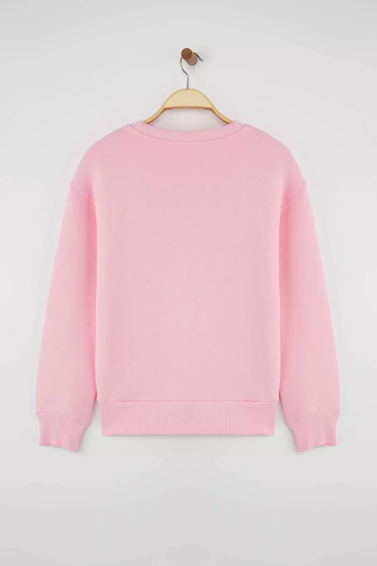 Light Pink Thick Polar Fleece Regular/Normal Pattern Crew Neck Basic Knitted Sweatshirt Twoaw24Sw00101