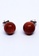 BELLE LIZ red Luna Galaxy Red Brown Earrings Studs 05E3DAC35EE5B1GS_1