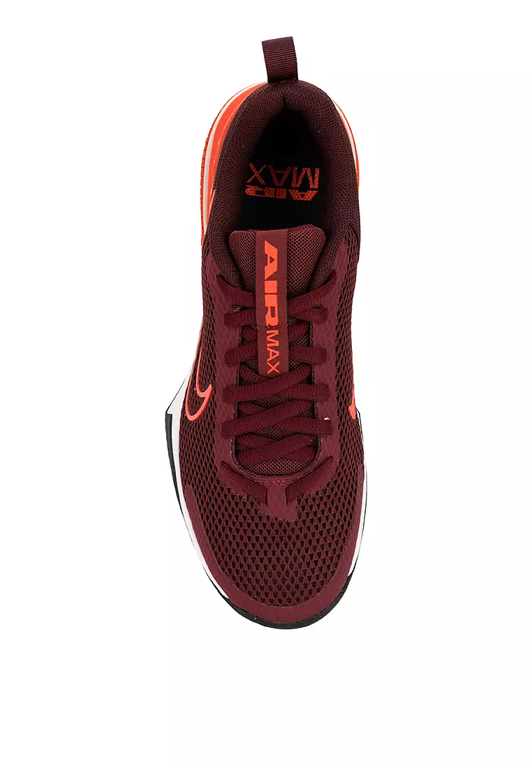 Air Max Alpha Trainer 6 Men's Workout Shoes