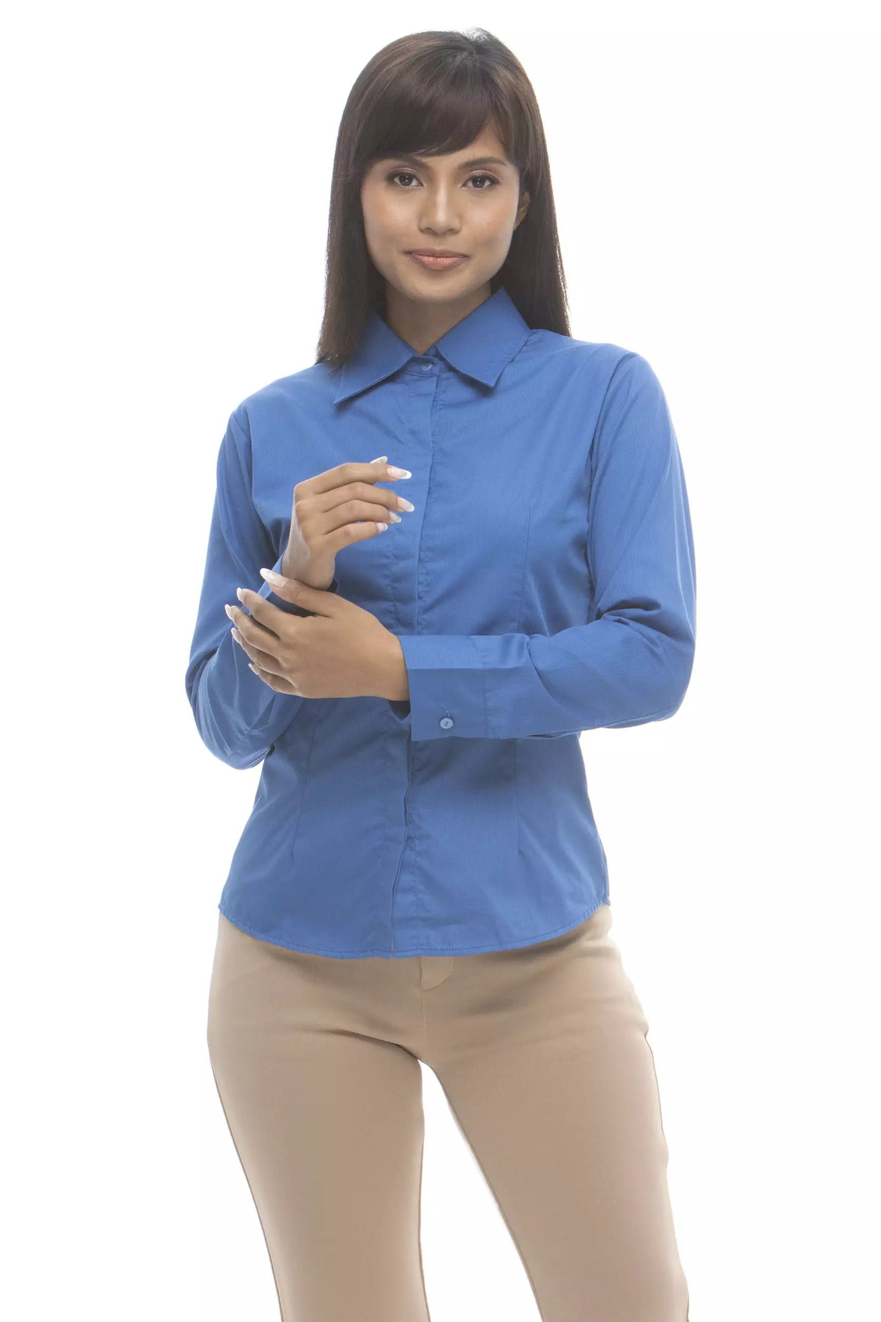 Delaney Pinstripe Long Sleeve Office Blouse