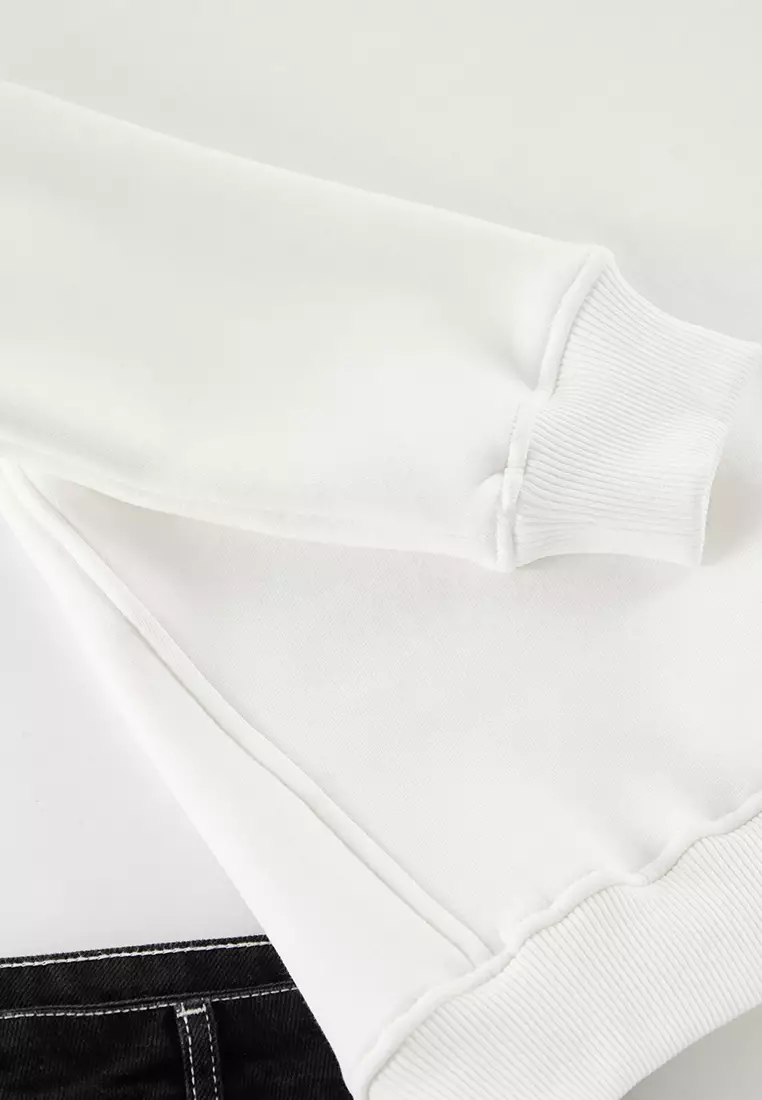 Ecru Regular/Normal Cut Stand Collar Zippered Inside Polar Fleece/Warm Basic Sweatshirt TMNAW24SW00041