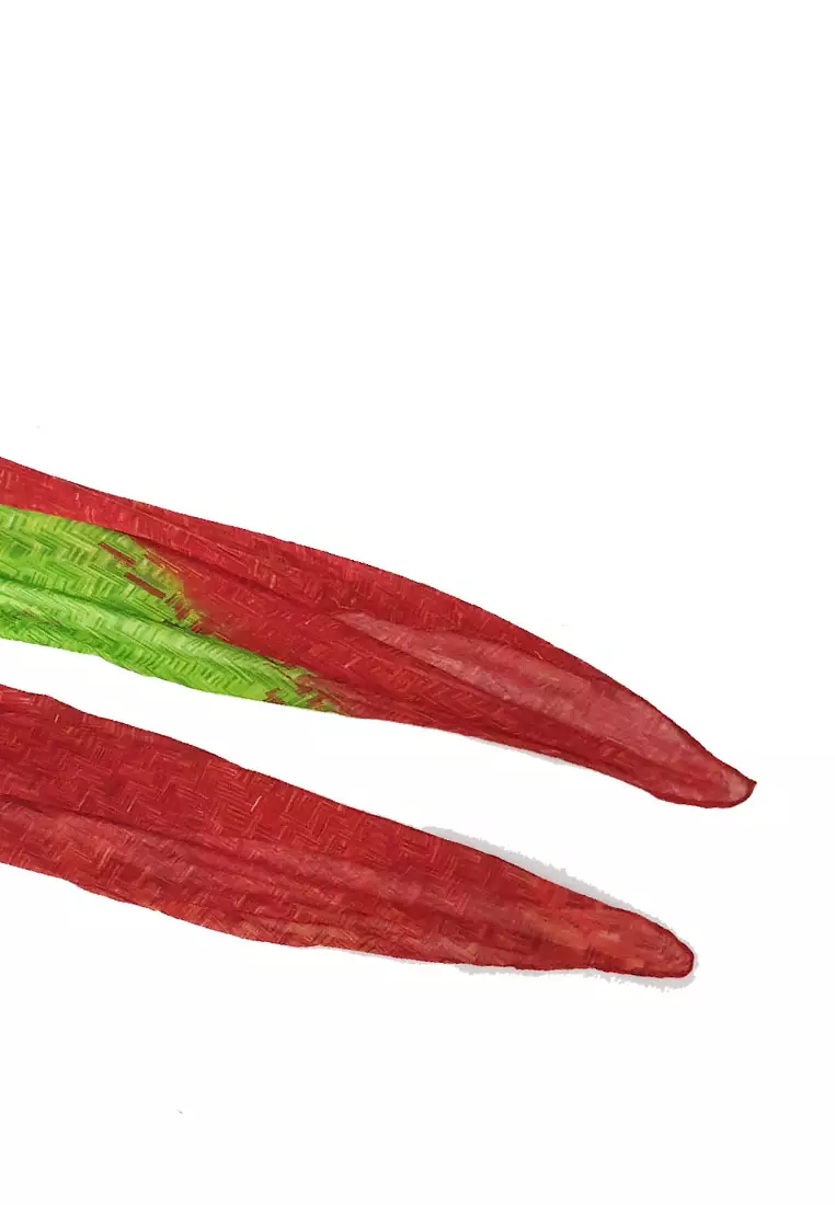 Viviya Printed Scarf Wine Red & Green