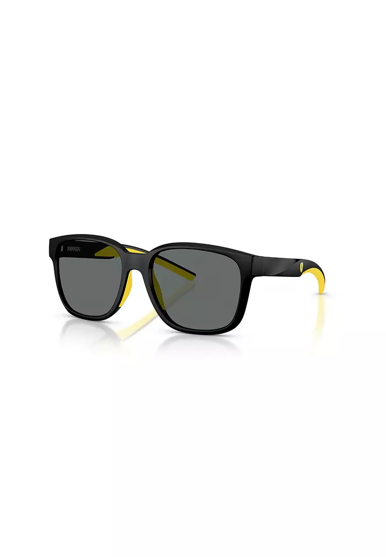 Unisex's Square Frame Black Injected Sunglasses - FZ6019D