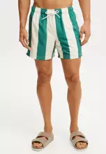 Teal Bold Stripe