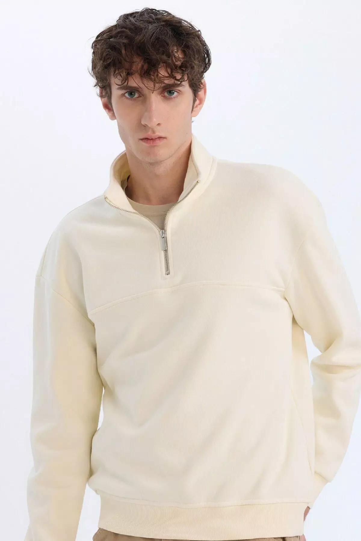 Relax Fit Stand Collar Zippered Basic Plain Thick Sweatshirt