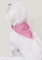 OXGN pink Generations Pet Bandana With Embro 49953ES477FB3CGS_3