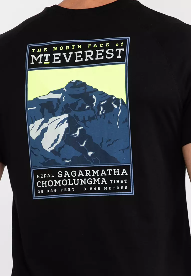 Tnf t clearance shirt