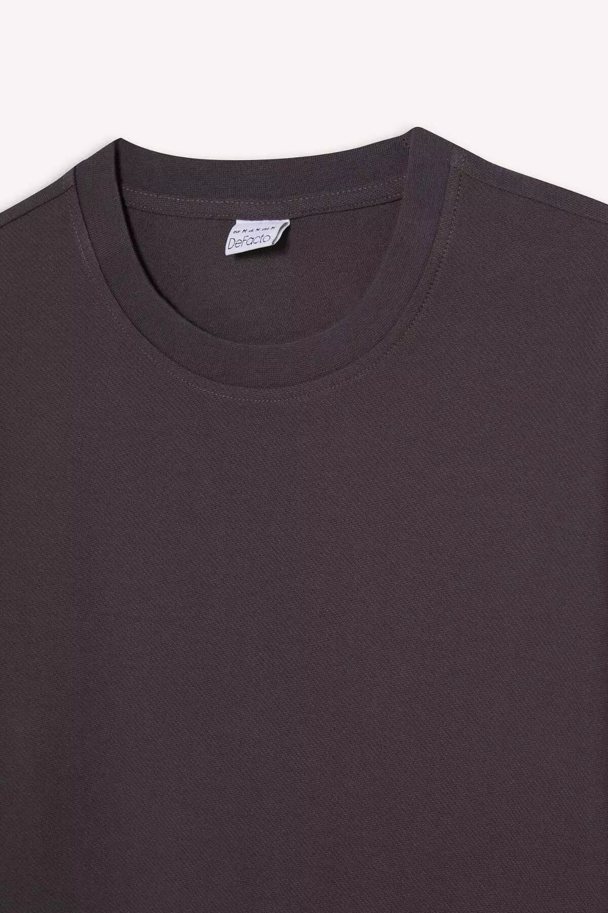 100% Cotton Regular Fit Crew Neck Short Sleeve Heavy Fabric T-Shirt E2589Ax25Sm