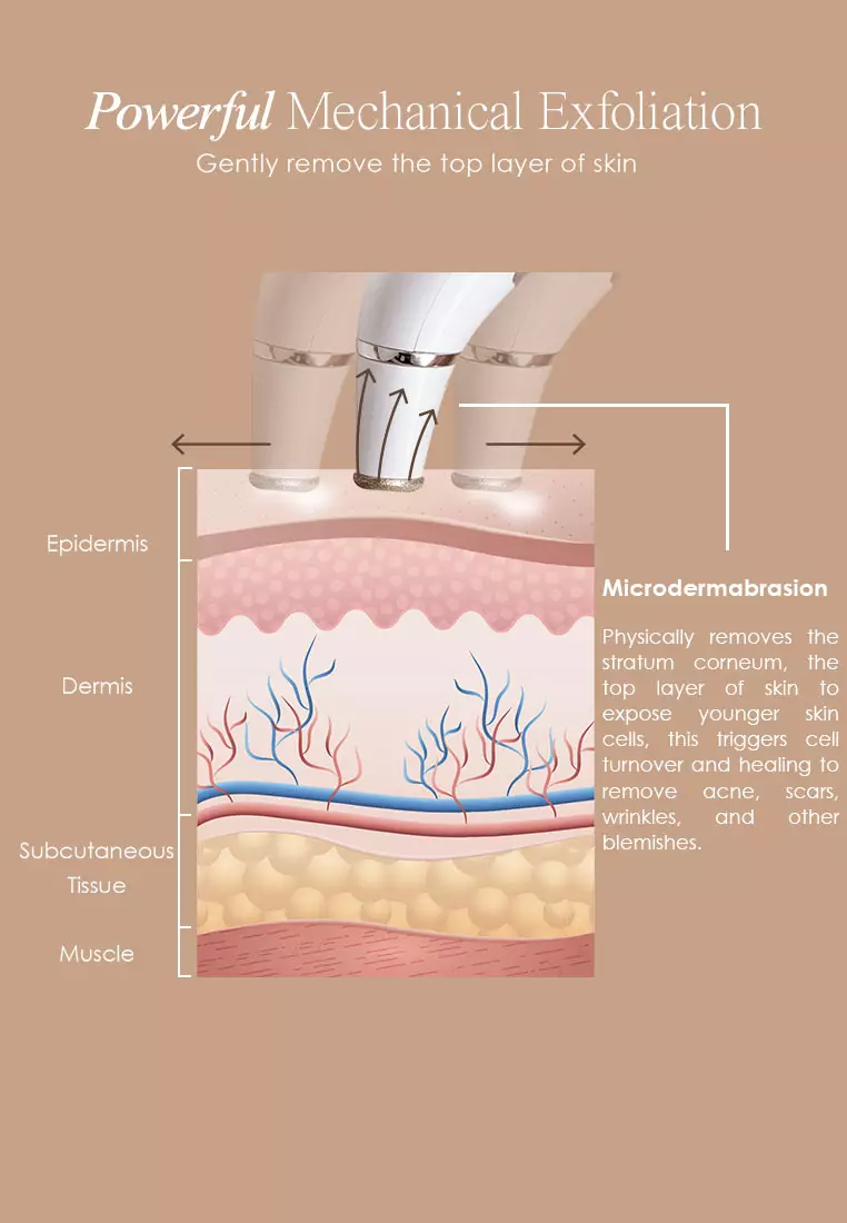 Reinvo | Facial Microdermabrasion Wand