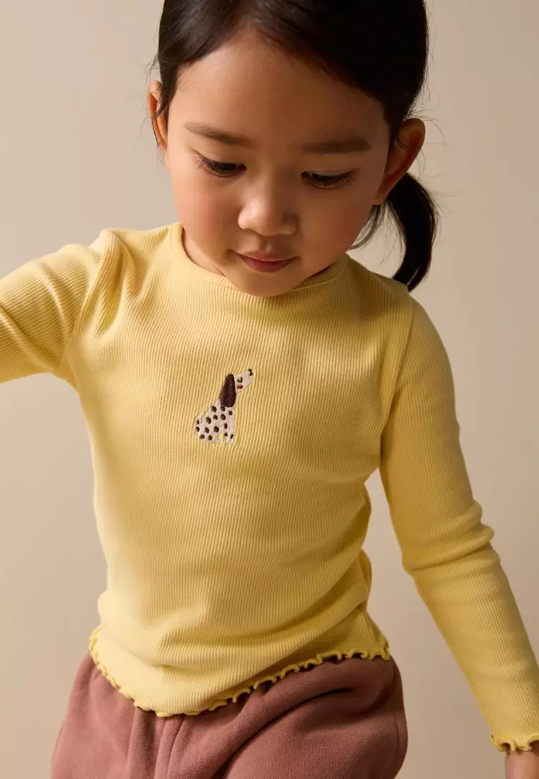 Long sleeve Embroidered Ribbed Top