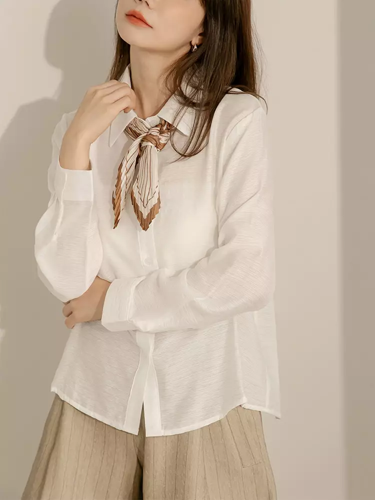 Buy OBSTYLE Sheer Pleated Design Shirt Top [AB19612] 2026 Online