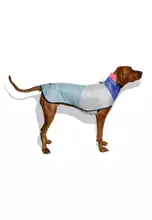 Zee dog cheap raincoat