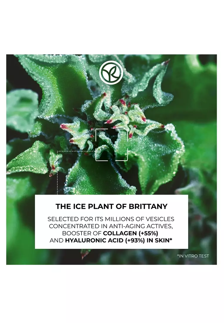 Anti Wrinkle Lifting Serum with Plant Collagen & Hyaluronic Acid-30ml for All Skin Types