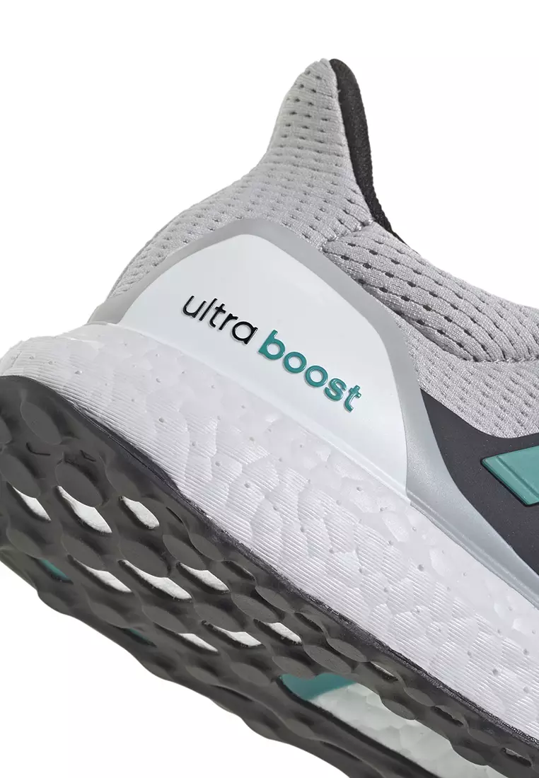 Ultraboost 1.0 Shoes