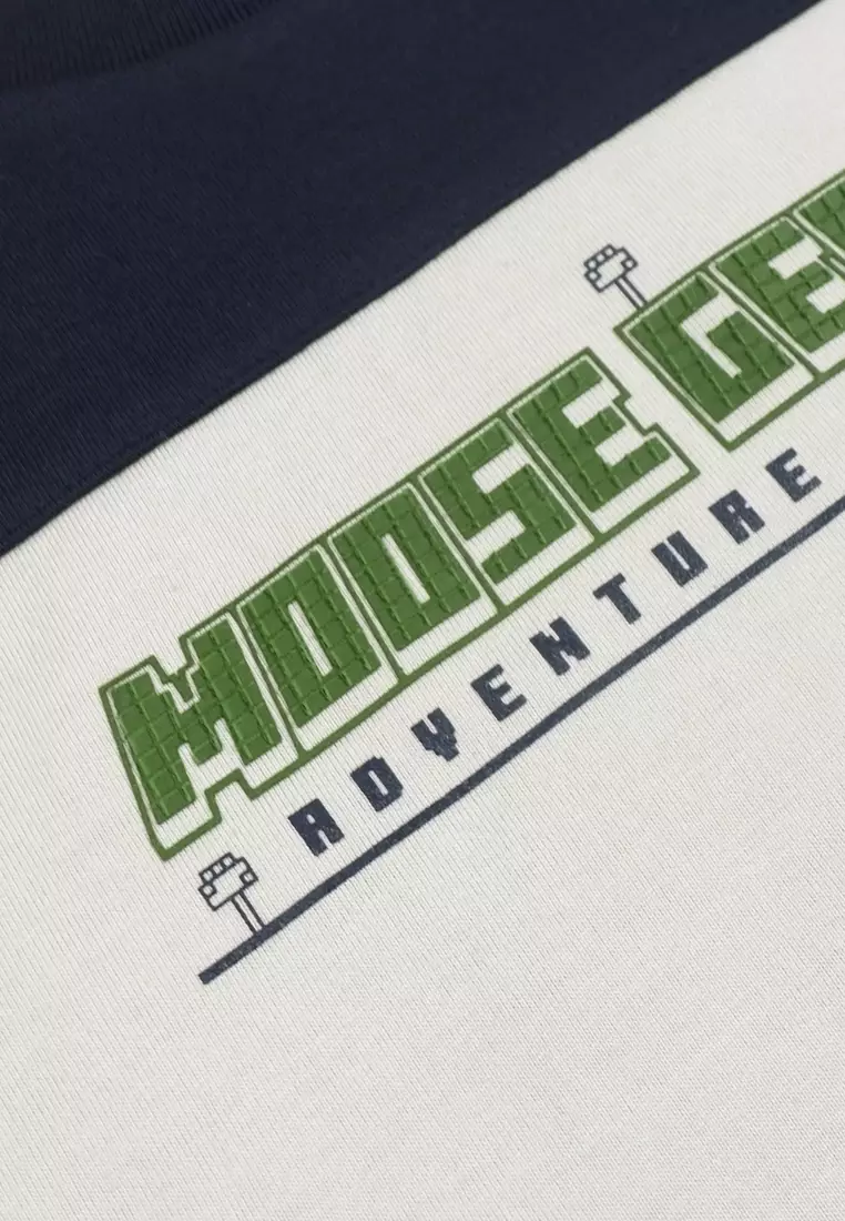 Boys T-Shirt With Short Set