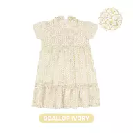 Scallop Ivory