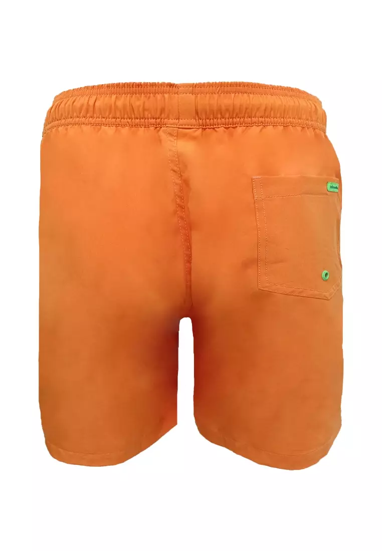 Solar Shore Swim Shorts Swimwear for Men