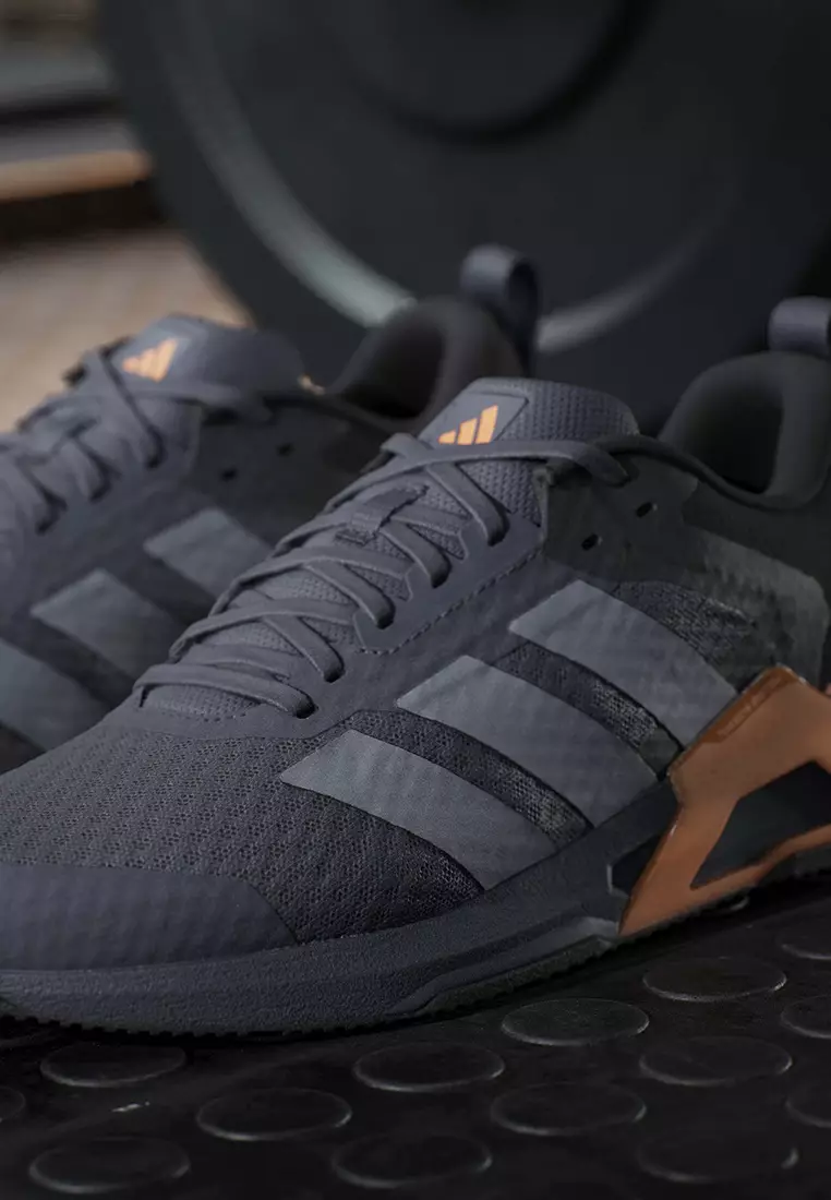 Dropset Control Training Shoes