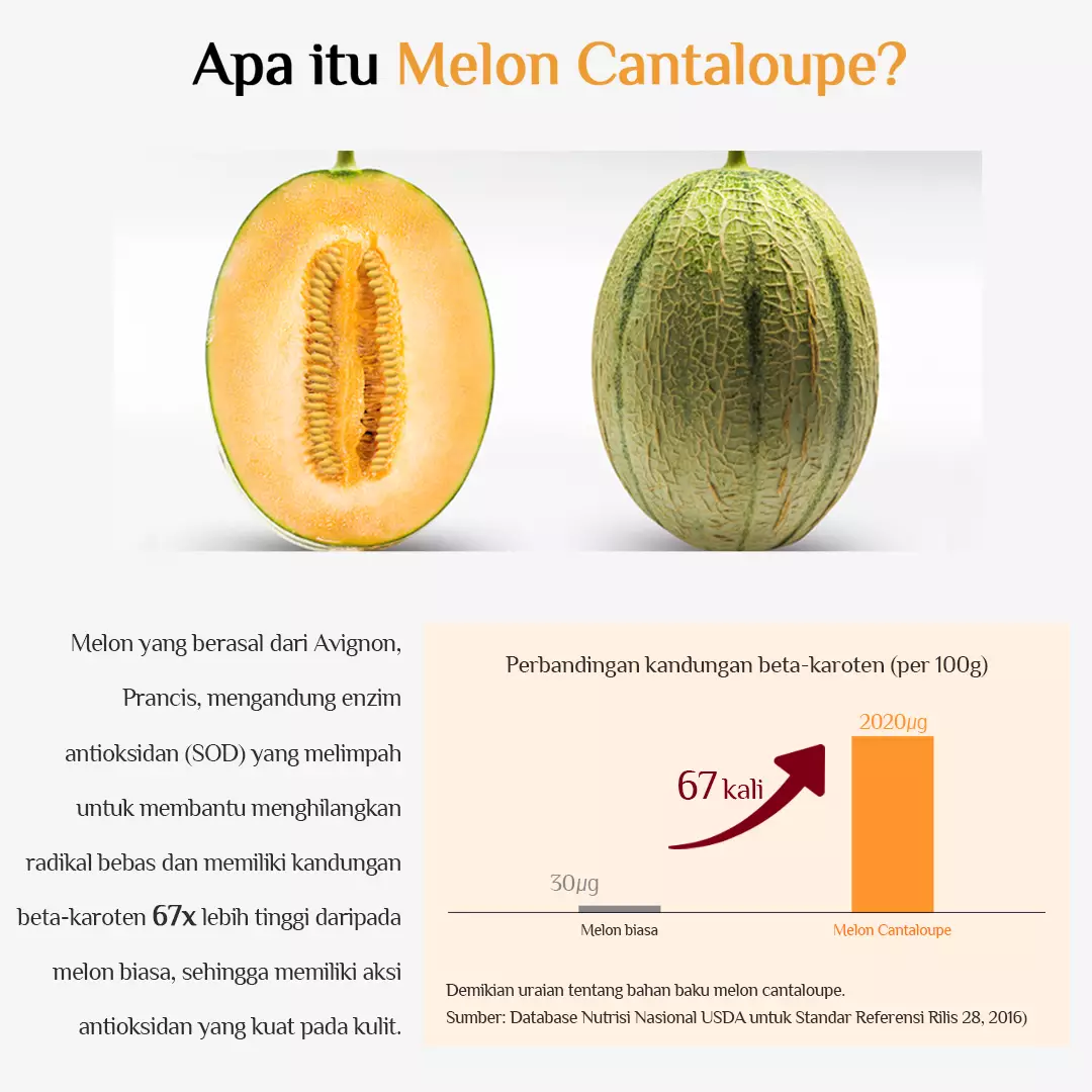 Holika Holika Enprani Retino X8 Pro Deep Wrinkle Repair Cream - Pelembab Anti Aging