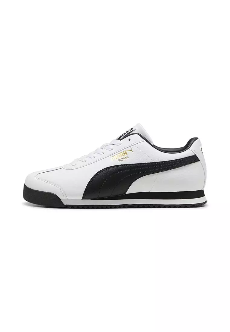Roma 24 Standard