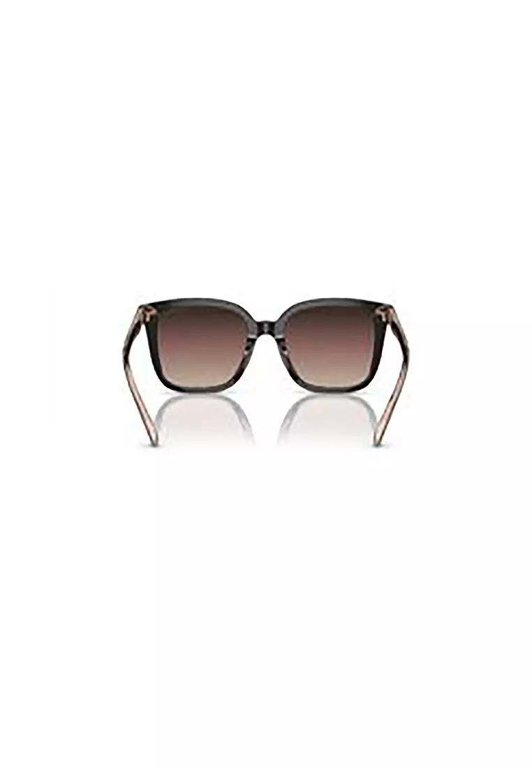 Women's Square Frame Black Acetate Sunglasses - HC8381F