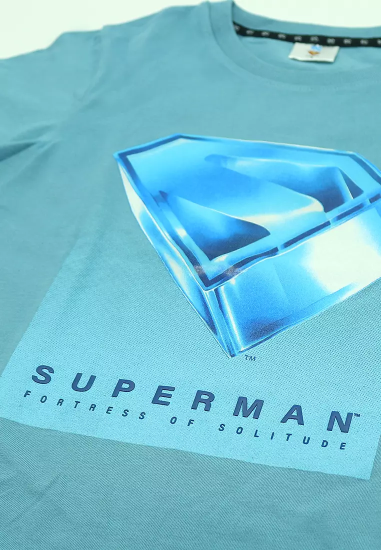 Boys Licensed Graphic T-Shirt Crystal 3D Logo