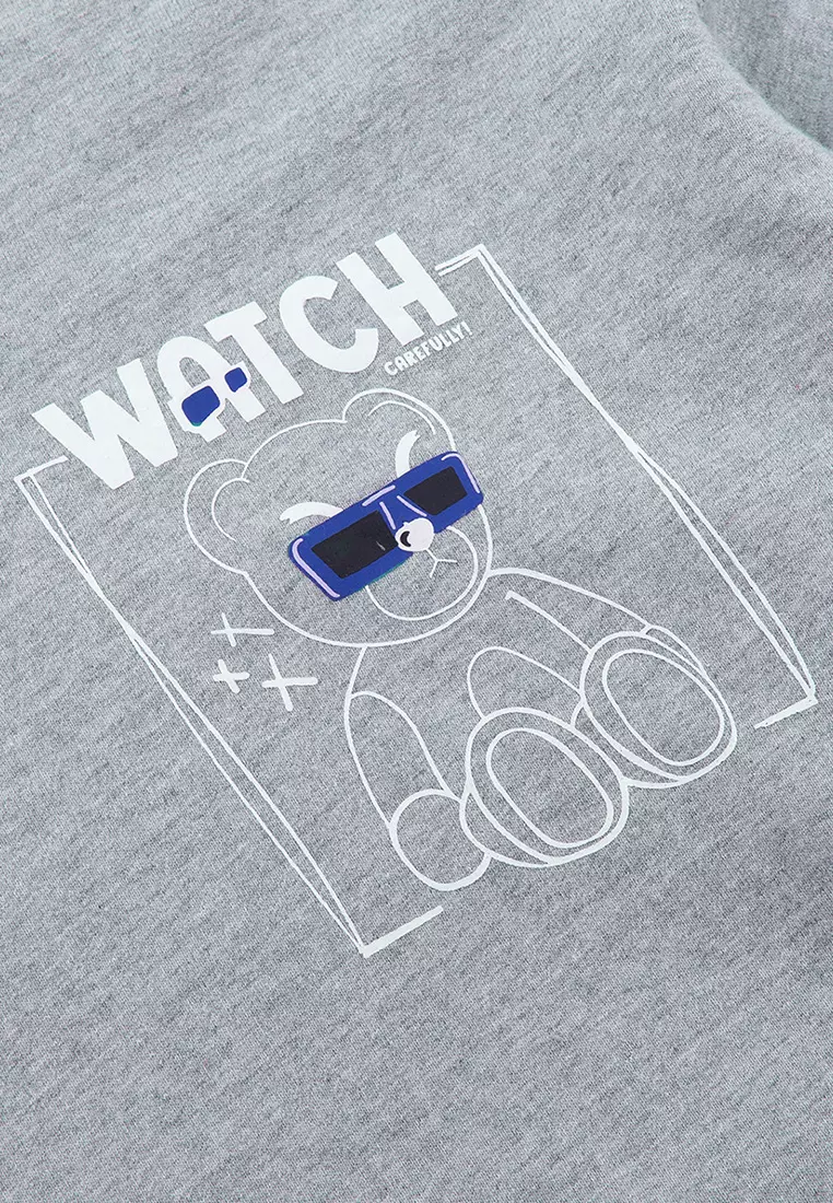 ICELAND LIGHT GREY Sweatshirt Lengan Panjang LS - Top Man Graphic Sweatshirt