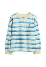 Blue Stripe
