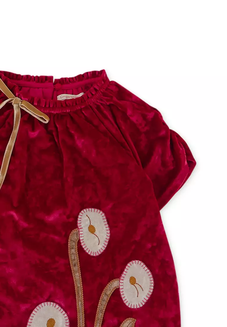 Girls Raglan Velvet Dress With Ribbon On Neck