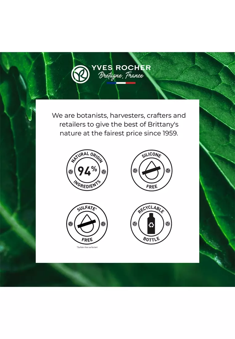 Anti Dandruff Shampoo 300ml & Purifying Conditioner 200ml Original Hair Care Bestseller Flakes Free Sulfate-Free