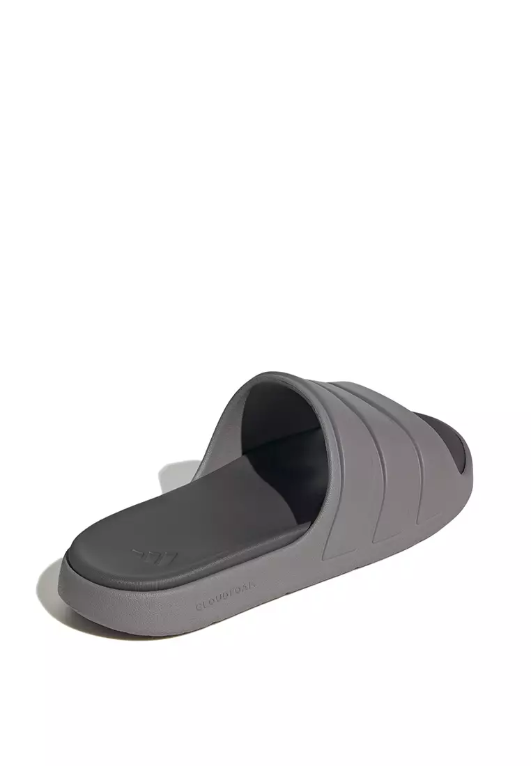 Znsory Slides