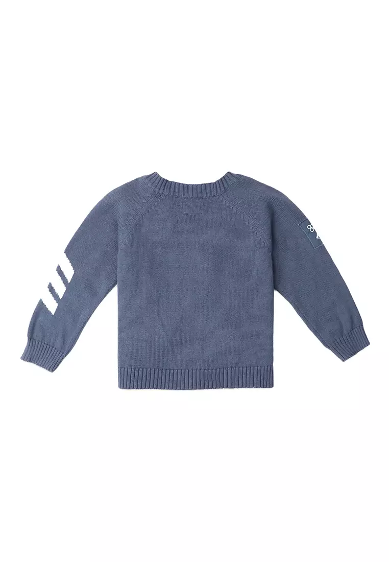 Boys Chevron Sleeves Cardigan