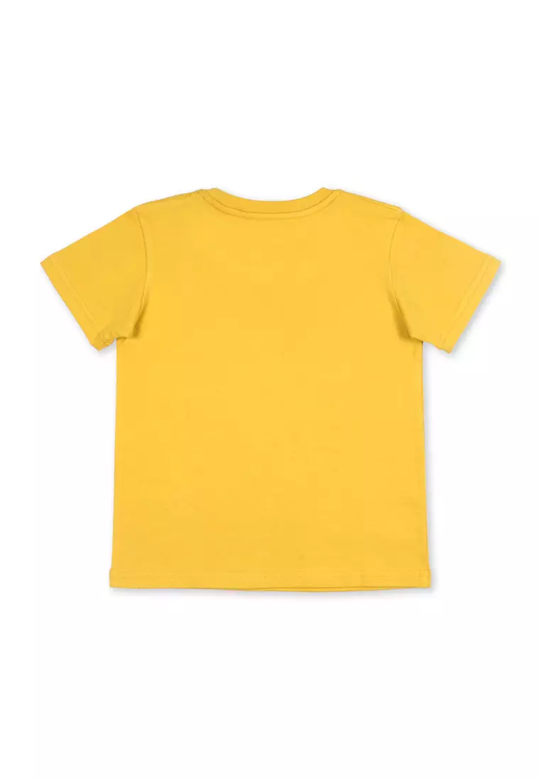 Boys T-Shirt with Print Details
