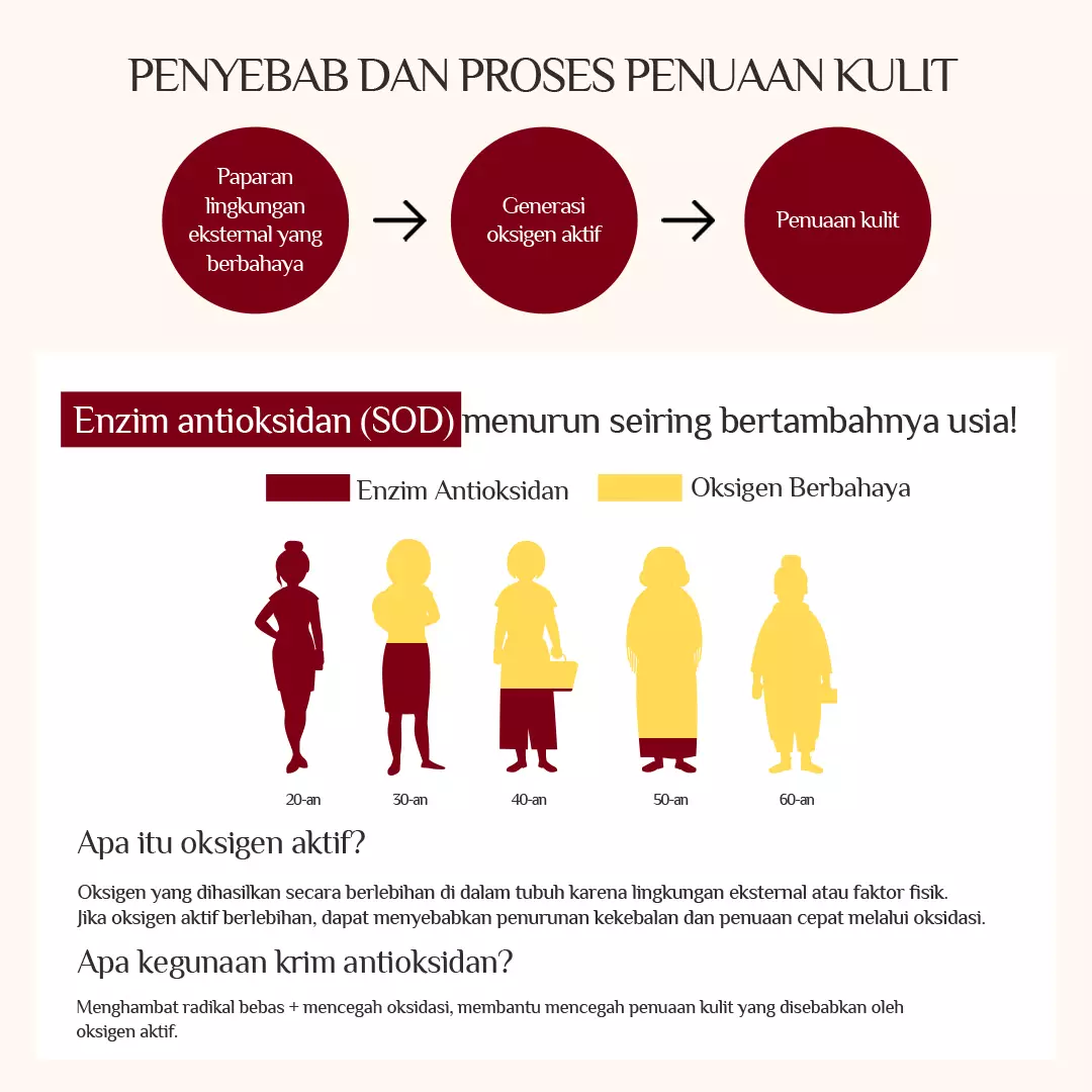 Holika Holika Enprani Retino X8 Pro Deep Wrinkle Repair Cream - Pelembab Anti Aging